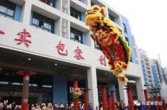 醒狮贺岁，开云app官方在线入口-开云(中国)2019年开工大吉