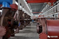 开云app官方在线入口-开云(中国)被评为2019年度三水区骨干企业